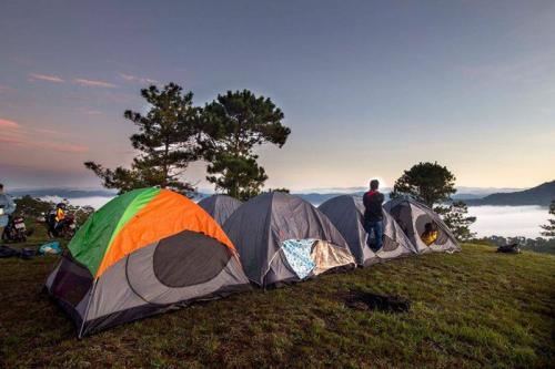 Tour Da Lat: Conquering a dreamy and wild city