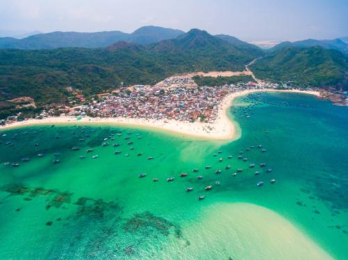 Experts and businesses discuss how to activate green tourism in Binh Dinh