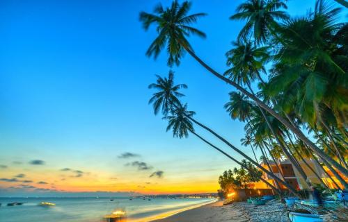 Phan Thiet restricts tourist arrivals
