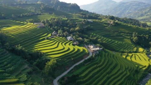 A series of localities responded to restore domestic tourism