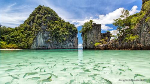 International tourists have been vaccinated against Covid-19 which was welcomed in Phuket Thailand since October 2021