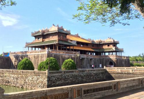 The cornflower season in Hue Citadel is in full bloom