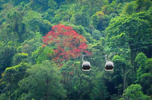 Đồng Nai Travel Guide