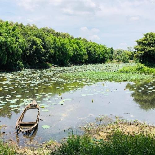 Travel guide: Dong Thap Province