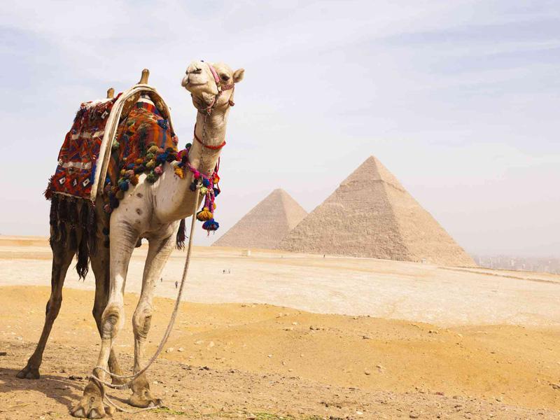 Multicountry Tours